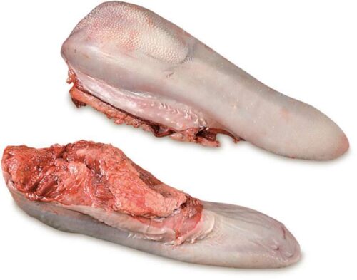 FROZEN BEEF TONGUE producer